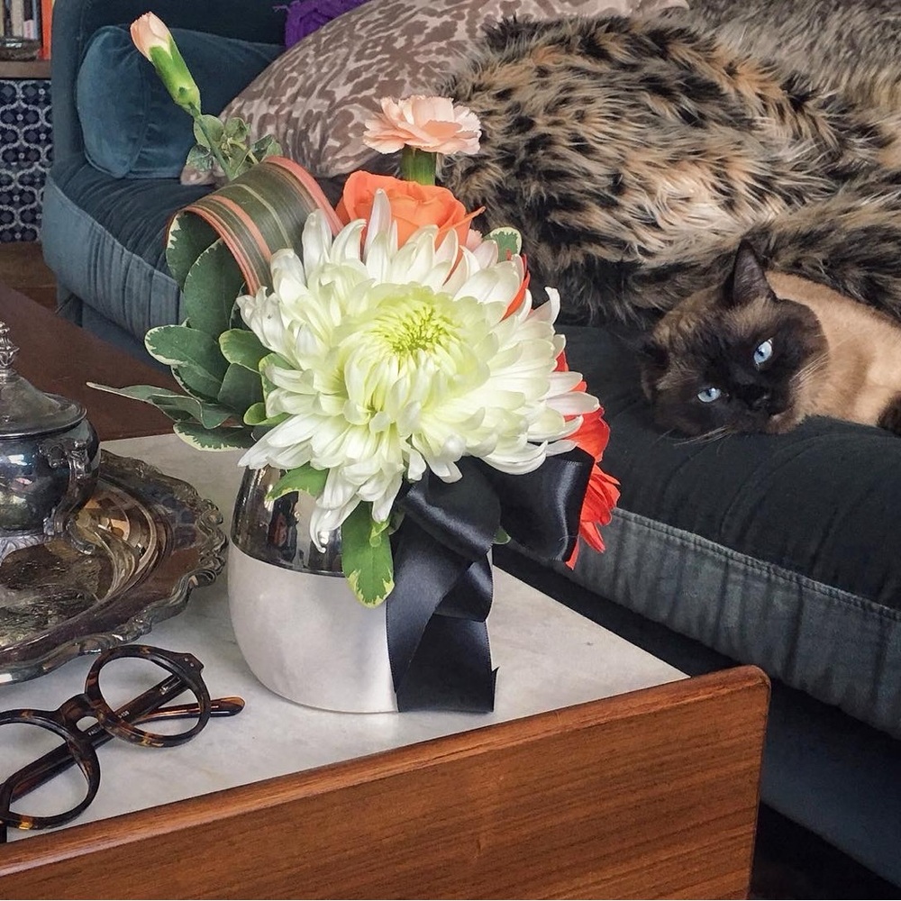 Meet your Posher, PoshPoshPosh